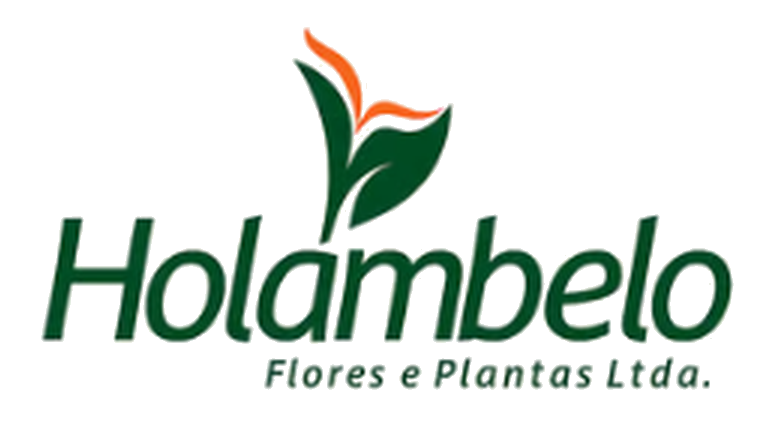 Logomarca HOLAMBELO